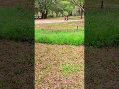 Innowacyjna technologia Przenośny panel słoneczny o mocy 100 W dla przygód na świeżym powietrzu